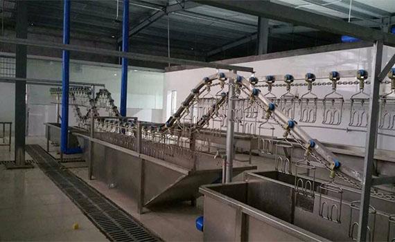 活禽现宰现杀逐步转为集中屠宰 相关食品加工设备需求或迎新增