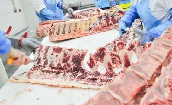 为推进肉牛肉羊生产发展  屠宰设备企业蓄势待发