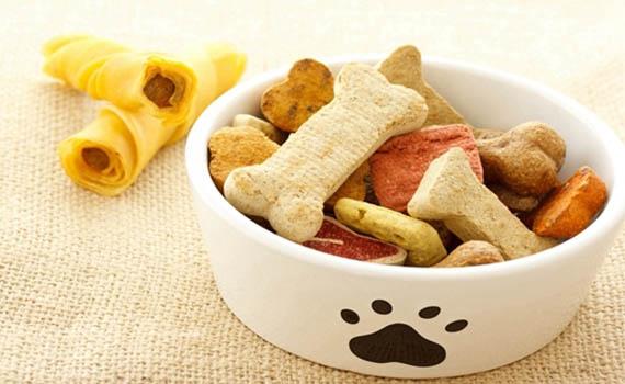 宠物食品消费趋于高端，加快相关加工生产线的投资建设