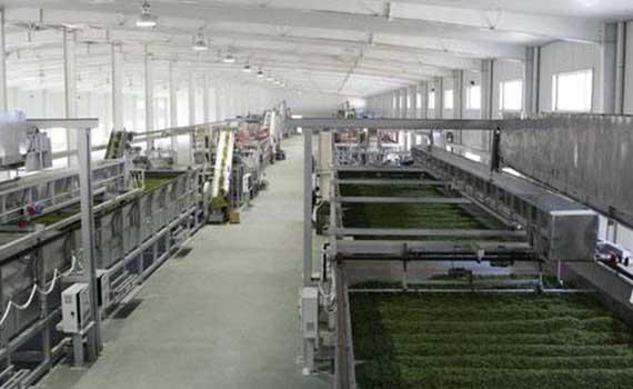 茶叶机械在行业发展中焕发出新的活力