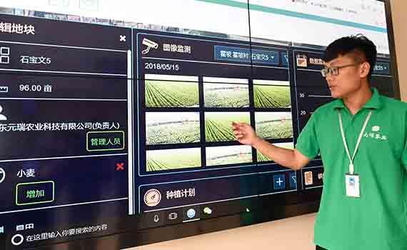 科技解锁智慧农业“新姿势”