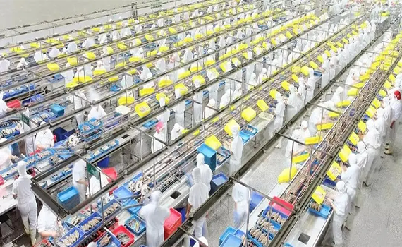 食品工业处在关键“节点”智能化生产推动转型升级