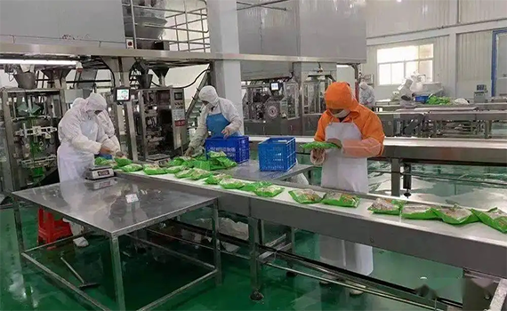 流水线生产成趋势 食品输送设备生产要求提高