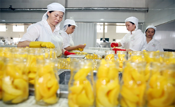 水果罐头又“出圈”？生产端机械设备升级造就好产品