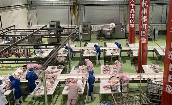 延链 补链 强链——看甘肃特色农业产业如何谋划“链”式发展