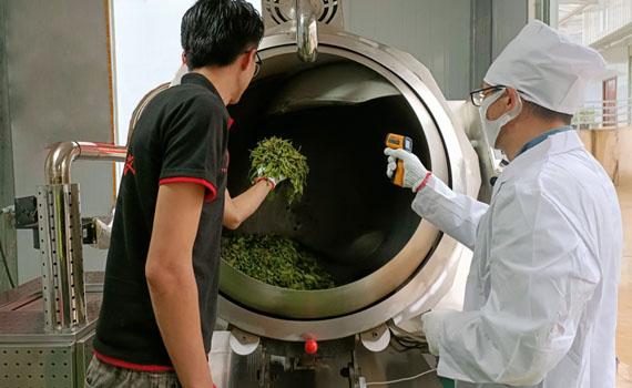 科技赋能茶产业机械化水平提升