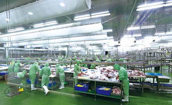 中国肉羊加工业已进入智能化、绿色发展的新阶段
