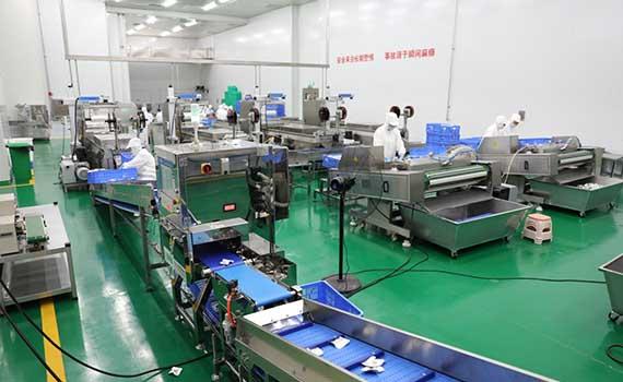 食品科技助力顺德预制菜产业发展更上一层楼