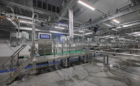 全面了解包装生产线：从进料到出品的全程解析