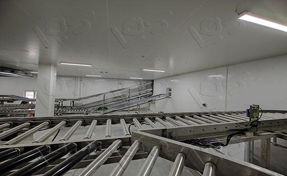 食品输送设备的选择：考虑实际需求与生产环境的综合因素