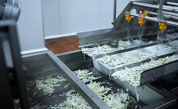 如何确保净菜加工生产线生产的净菜既满足清洁度要求又保持新鲜口感？