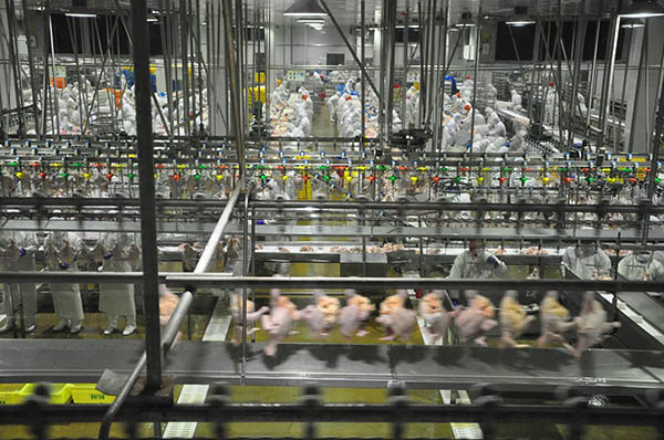 食品加工赛道里的机遇与挑战（下）