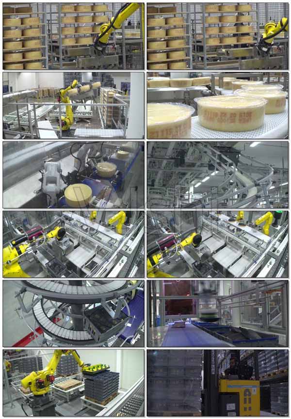 食品加工赛道里的机遇与挑战（下）