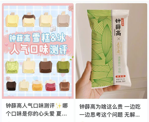 从工厂车间到舌尖细品，钟薛高的天价之路
