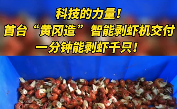 每分钟千只龙虾剥好，智能剥虾机引关注