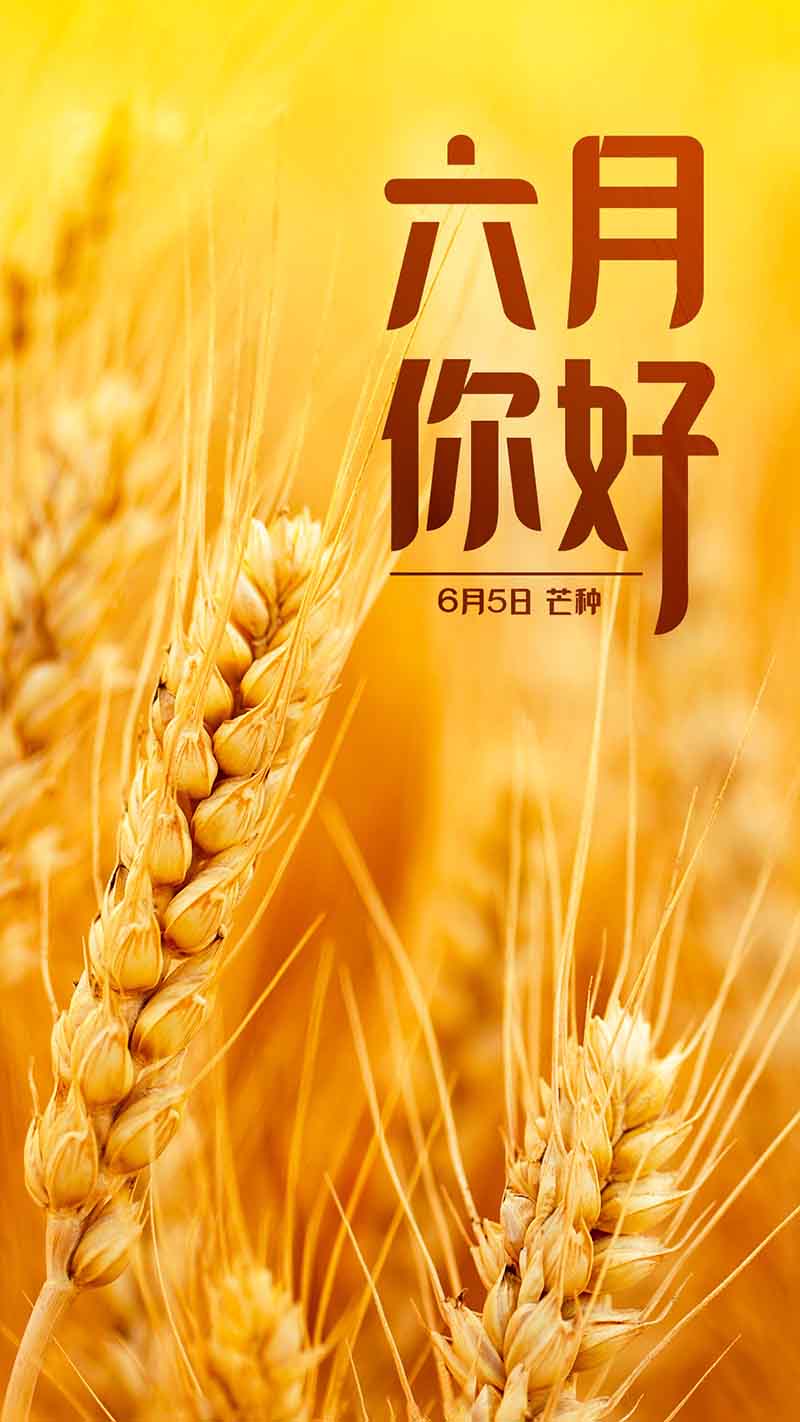 六月正当万物峥嵘,挥洒汗水砥砺前行