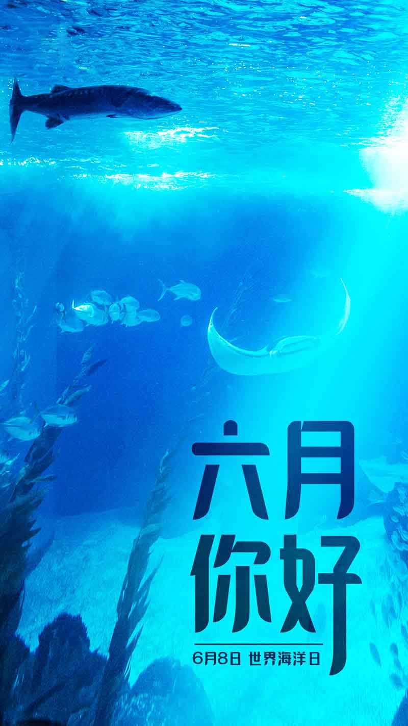 六月正当万物峥嵘,挥洒汗水砥砺前行