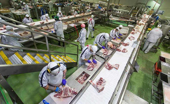 全球最大肉类生产线被黑客全线逼停 国内猪肉18周连降价格省心