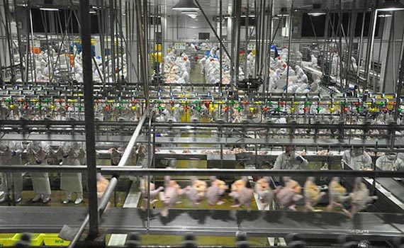 揭秘神舟十二号载人飞船的食品供应商