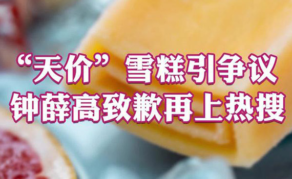 从工厂车间到舌尖细品，钟薛高的天价之路