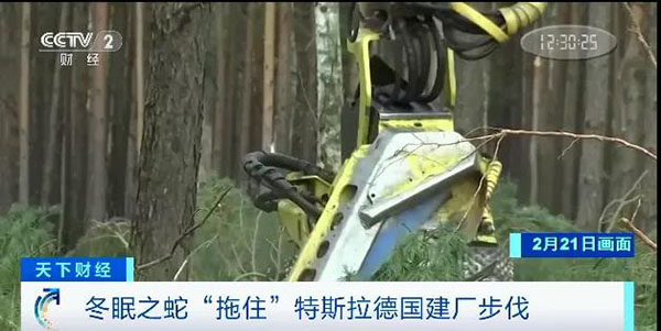 特斯拉屡遭碰壁的德国建厂之路