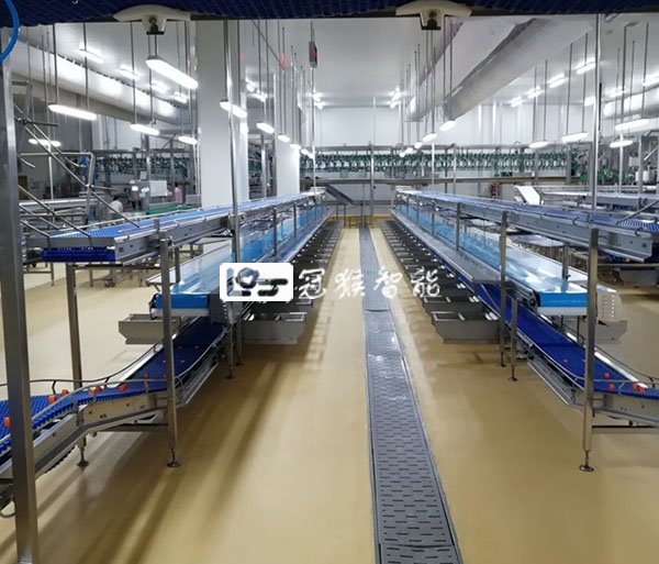 冠猴智能优质解决方案之分割剔骨输送线