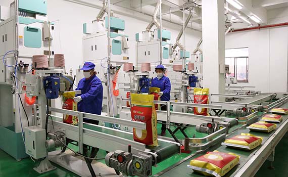 当大米加工遇上5G智能，这样的生产线你见过吗？